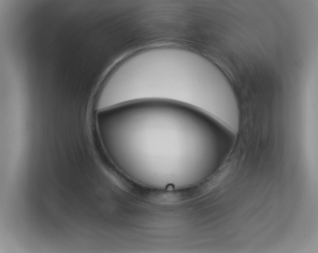 X0000113890156200909241149