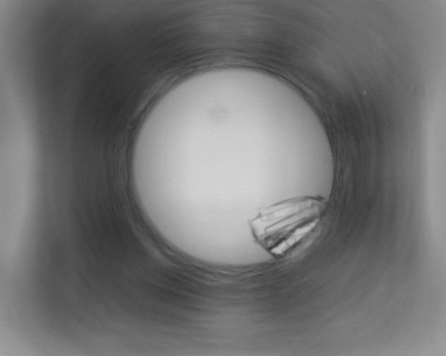 X0000113890158200909241149
