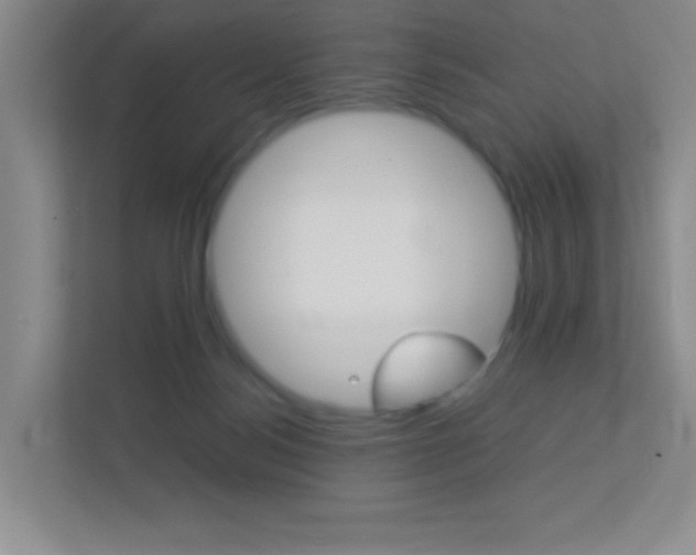 X0000113890172200909241149