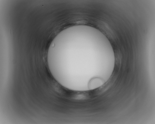 X0000113890175200909241149