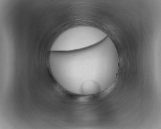 X0000113890178200909241150