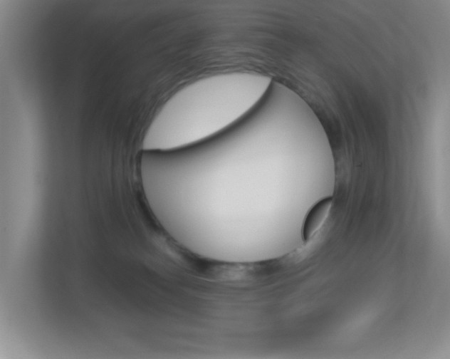 X0000113890182200909241150
