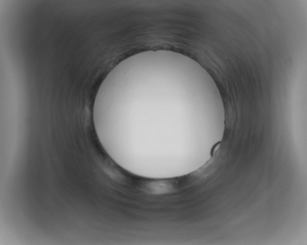 X0000113890183200909241150