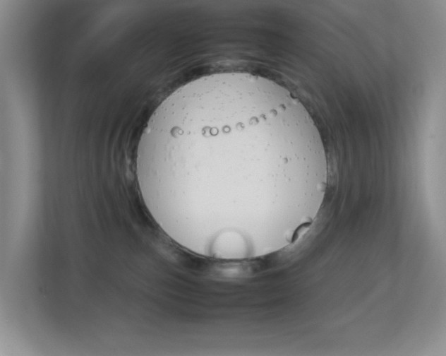 X0000113890187200909241150