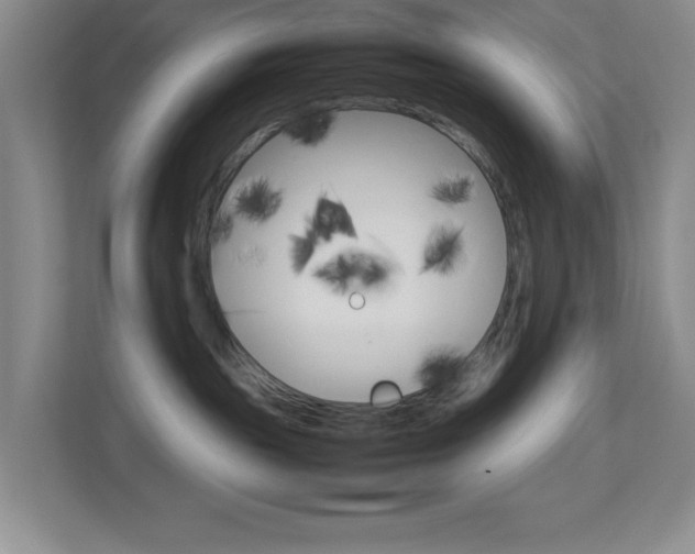 X0000113890189200909241150