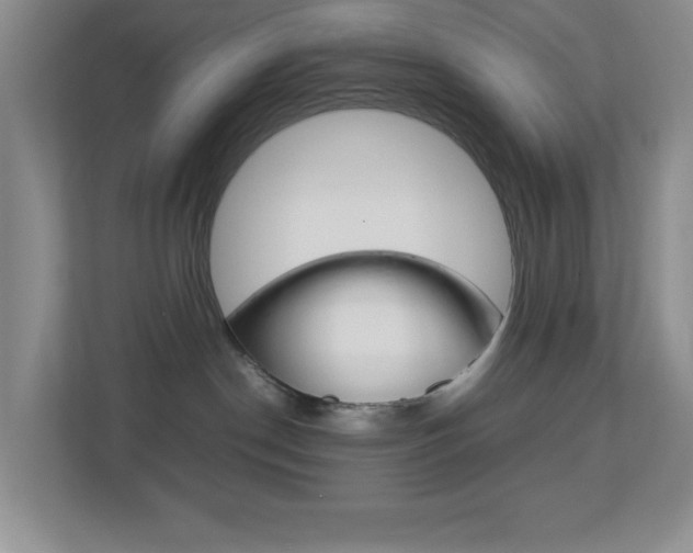 X0000113890190200909241150