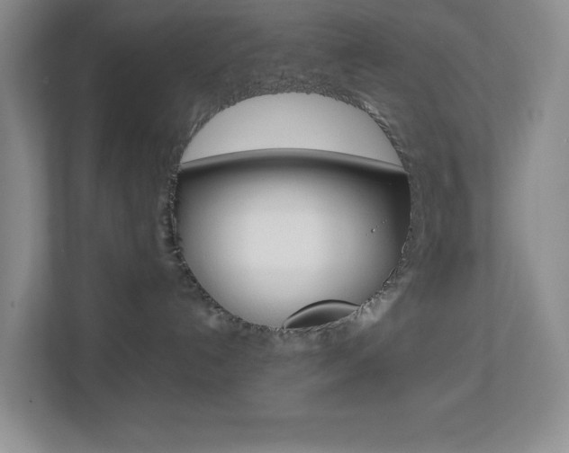 X0000113890192200909241150