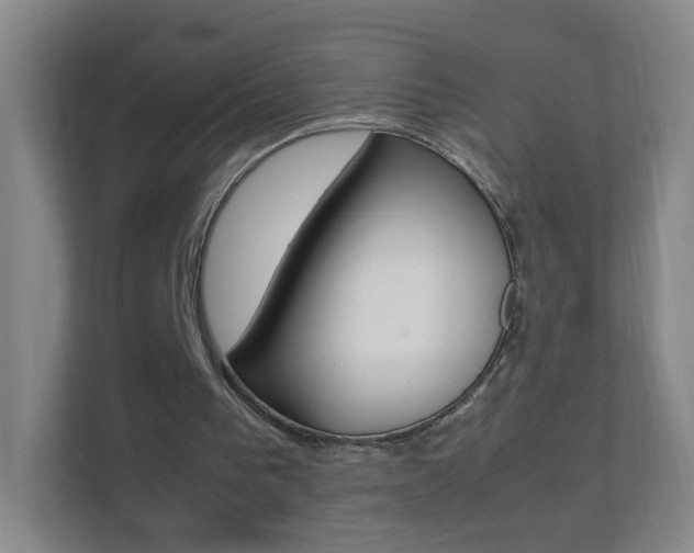 X0000113890193200909241149