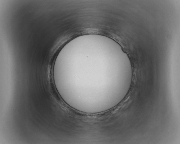 X0000113890194200909241149