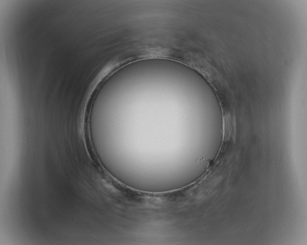 X0000113890195200909241149