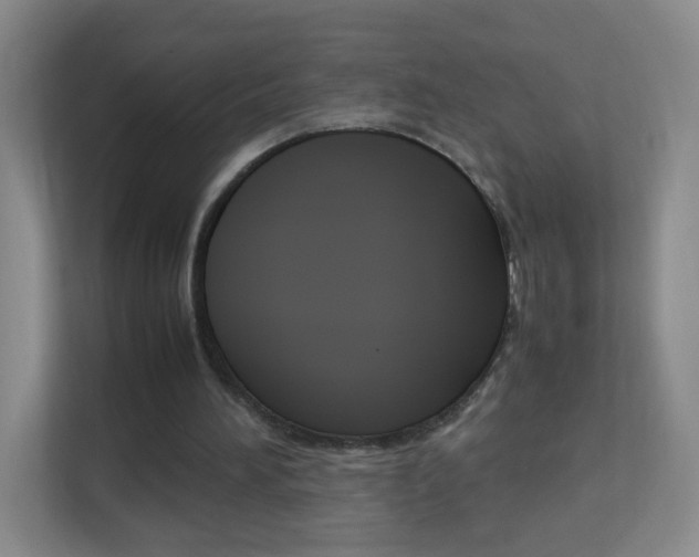 X0000113890196200909241149