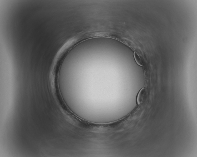 X0000113890197200909241149