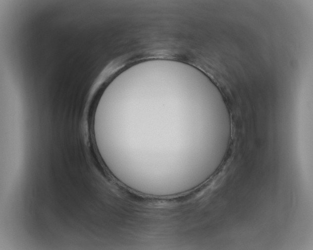 X0000113890198200909241149