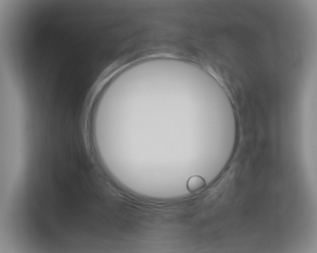 X0000113890199200909241149