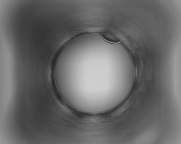 X0000113890201200909241149