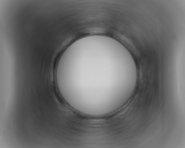 X0000113890202200909241149
