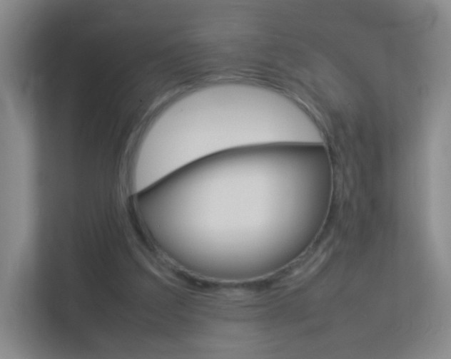 X0000113890203200909241149