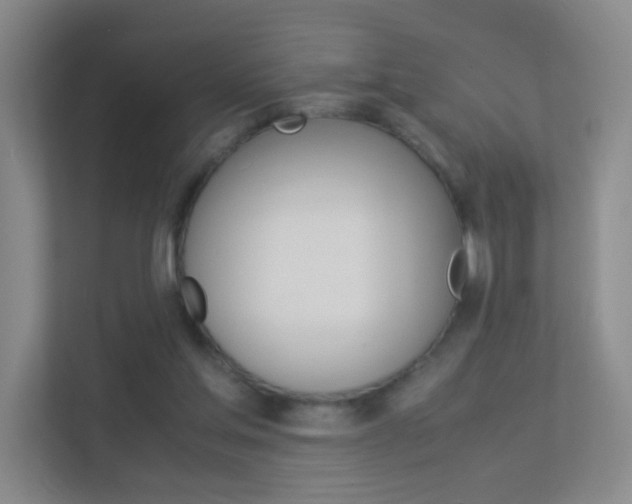 X0000113890205200909241149