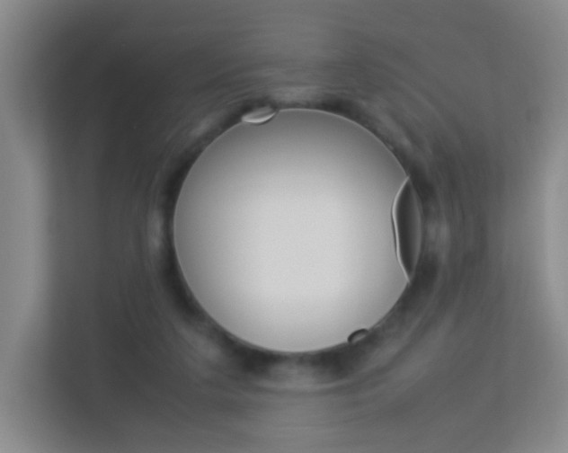 X0000113890211200909241149