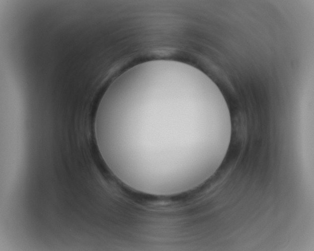 X0000113890212200909241149