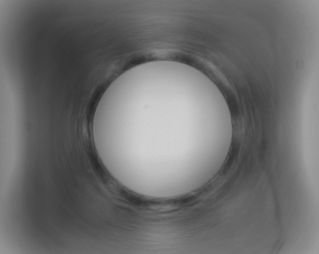 X0000113890213200909241149