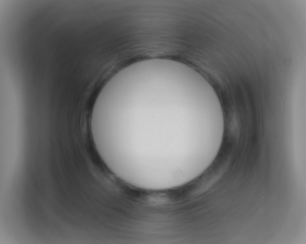 X0000113890214200909241149