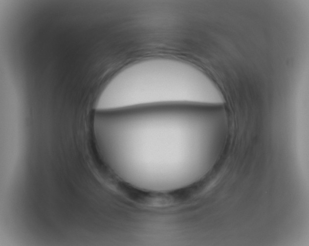 X0000113890215200909241149