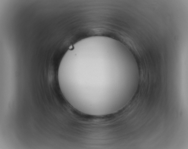 X0000113890220200909241149
