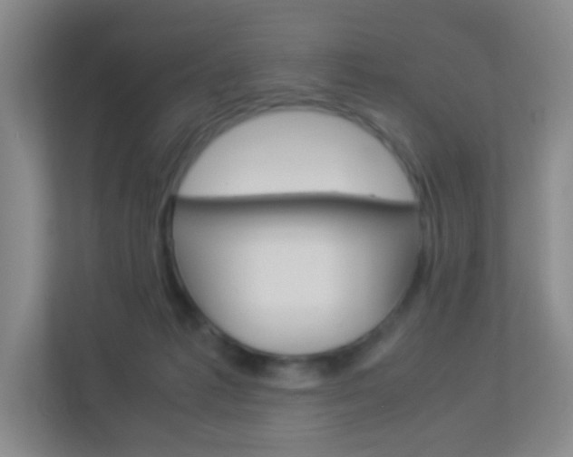 X0000113890221200909241149