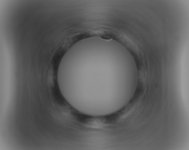 X0000113890223200909241149