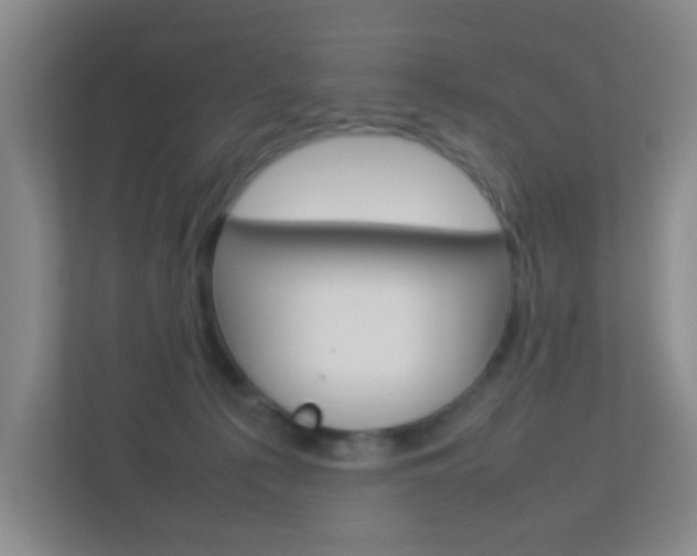 X0000113890225200909241149