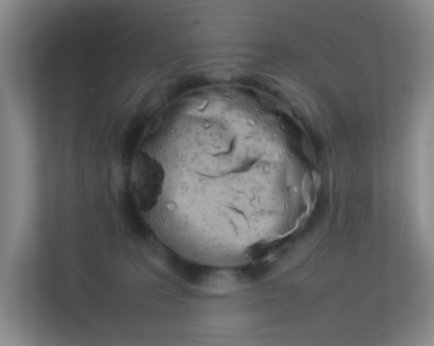 X0000113890227200909241149