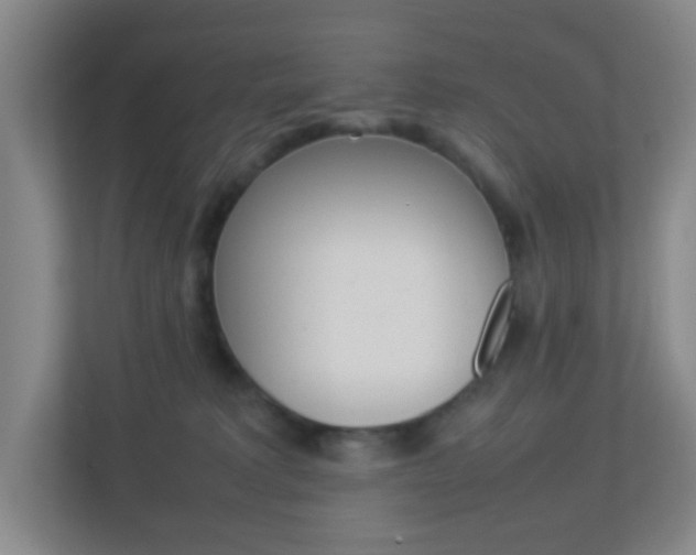 X0000113890229200909241149