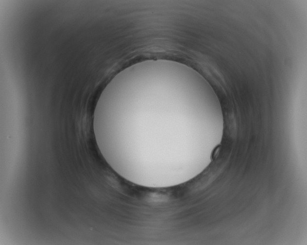 X0000113890232200909241149