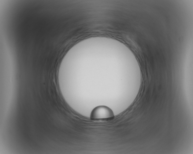X0000113890233200909241149