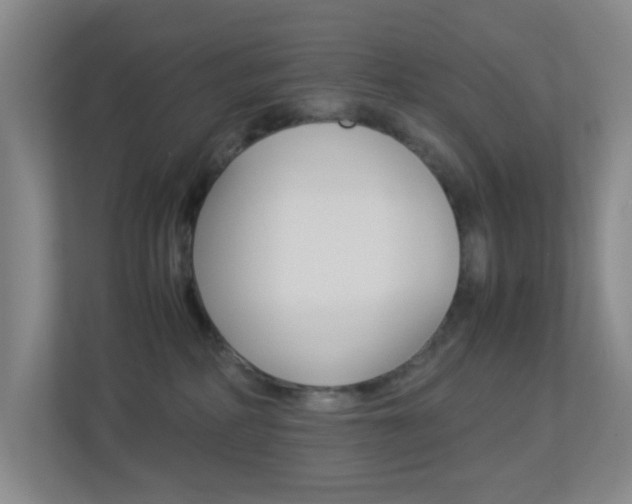 X0000113890234200909241149
