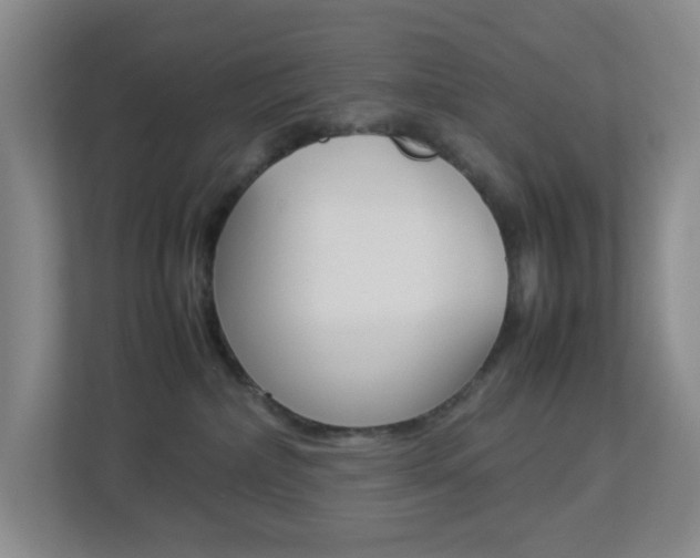 X0000113890236200909241149
