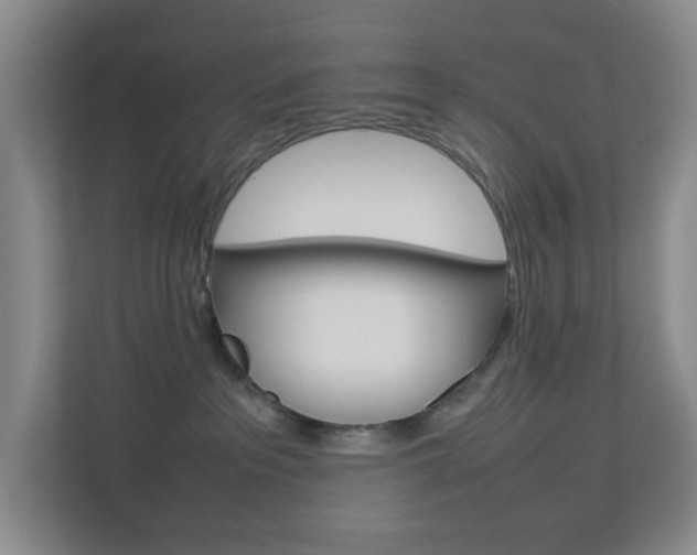 X0000113890237200909241148