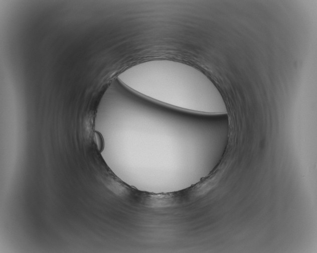 X0000113890240200909241148