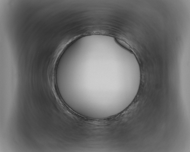 X0000113890241200909241148