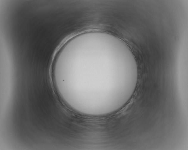 X0000113890244200909241148
