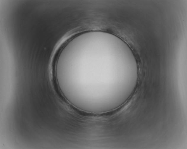 X0000113890246200909241148