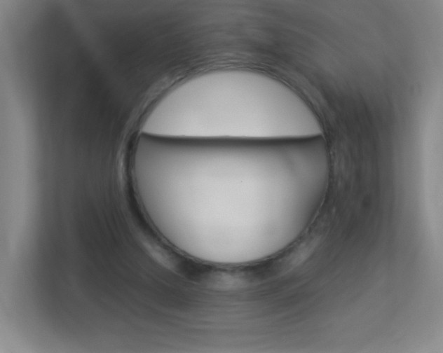 X0000113890250200909241148