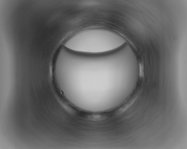 X0000113890253200909241148