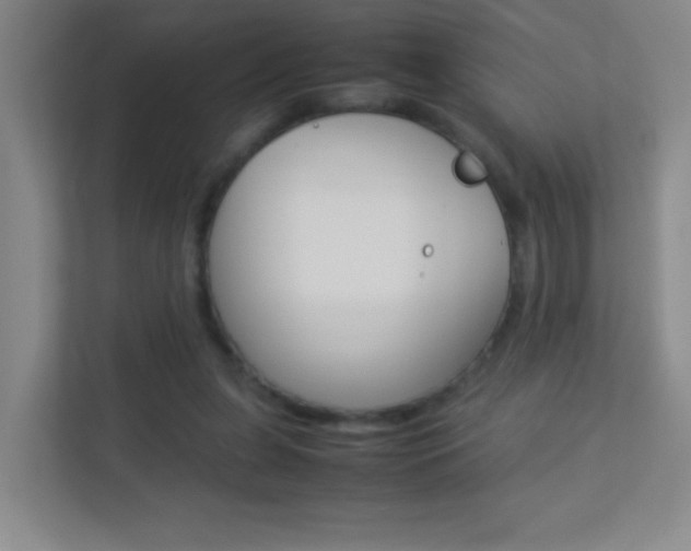 X0000113890255200909241148