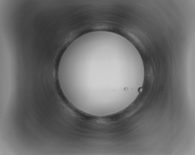 X0000113890261200909241148