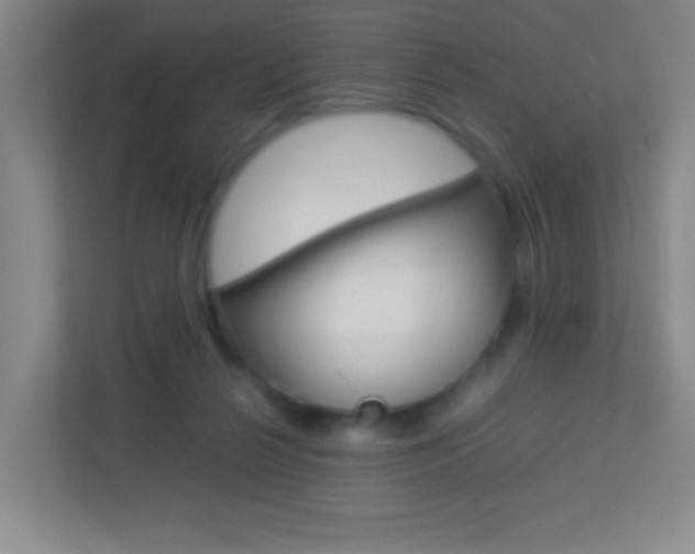 X0000113890264200909241148