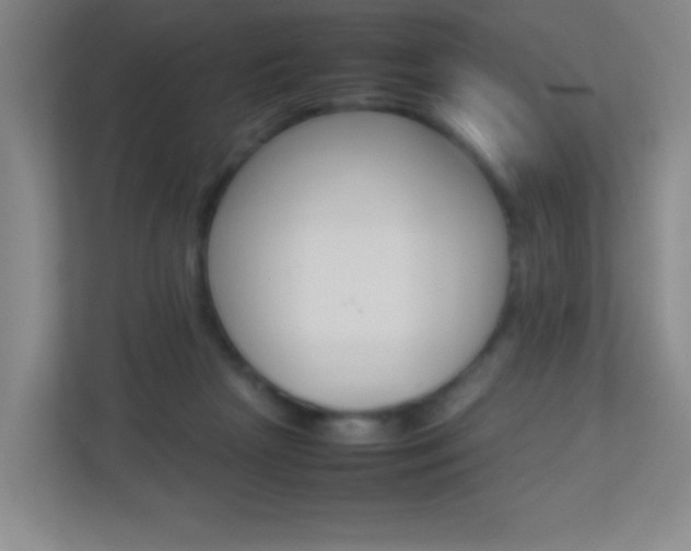 X0000113890265200909241148