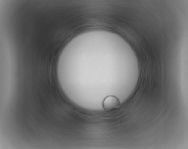 X0000113890268200909241148