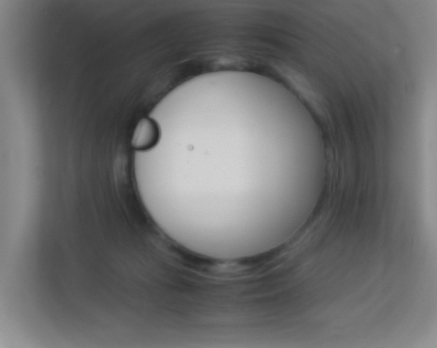 X0000113890269200909241148